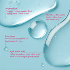 Phyto Mucin Serum