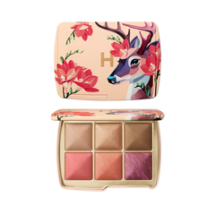 Personaliza Tu Paleta