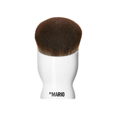 FB1 Brush