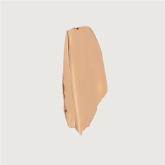 The Minimalist Perfecting Complexion Foundation and Concealer Stick