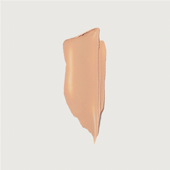 The Minimalist Perfecting Complexion Foundation and Concealer Stick
