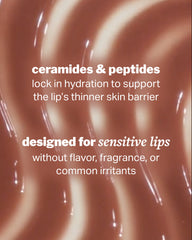 ceramide lip blur balm