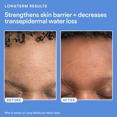 Molecular Mesh Barrier Strengthening Moisturizer with Ectoin + Centella