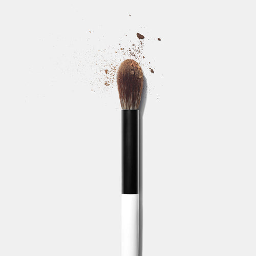 EF2 BRUSH