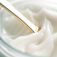 The Water Cream Oil-Free Pore Minimizing Moisturizer