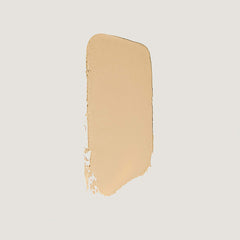 The Minimalist Perfecting Complexion Foundation and Concealer Stick